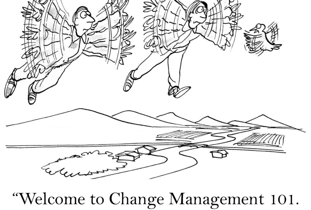 Change Management in ERP Projects