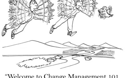 Change Management in ERP Projects