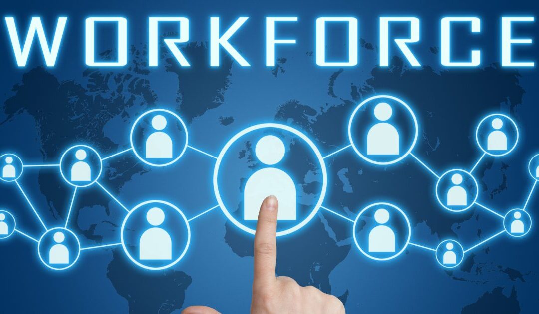 ERP and Workforce Productivity