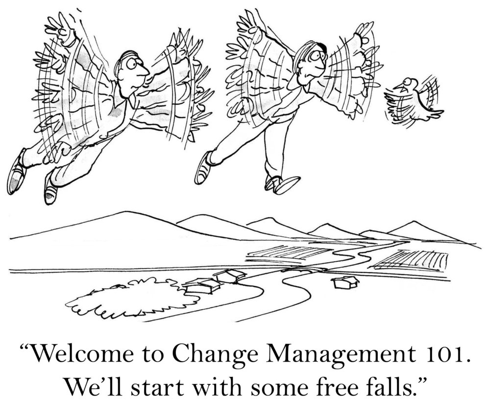 Change Management 101 humorous cartoon: reads: "Welcome to Change Management 101. Let's start with some free falls."