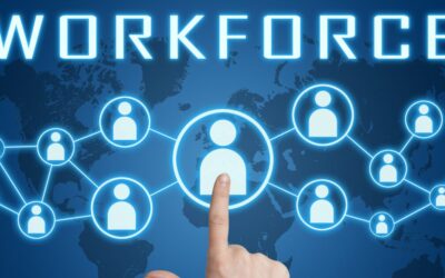 ERP and Workforce Productivity