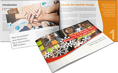 Image showing cover page and inside pages of our 12 step guide to a successful ERP project